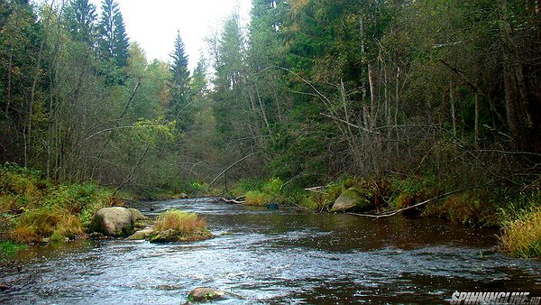 Изображение 1 : Октябрьские прогулки с "River Old "